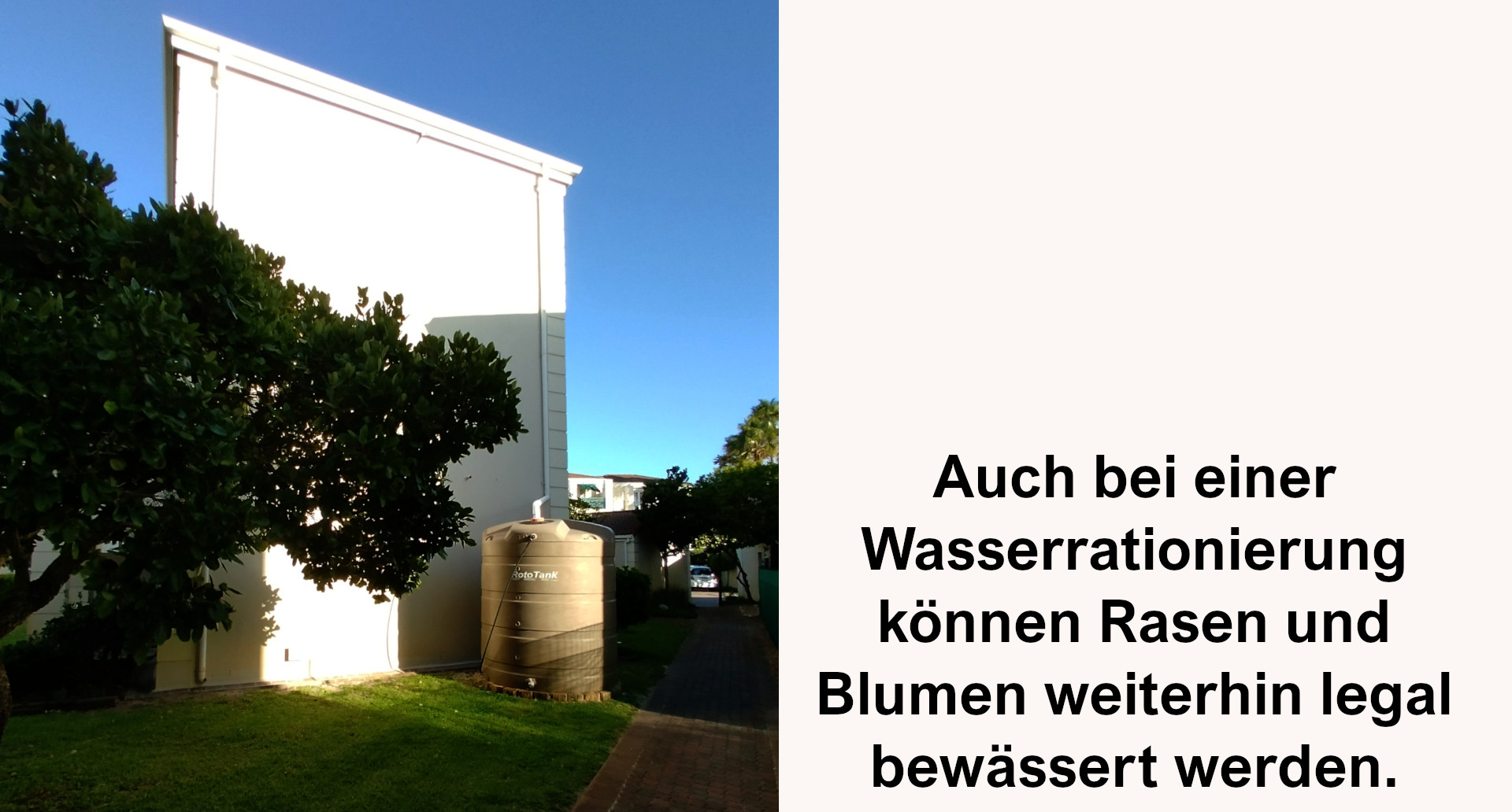 Wasser.jpg